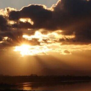 Meet your Posher, Juliette